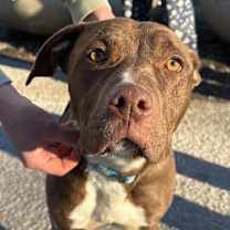 Thumbnail photo of Amaya #3