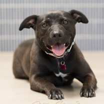 Thumbnail photo of Ginny #2