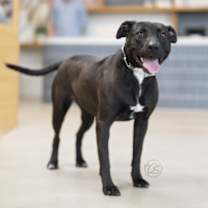 Thumbnail photo of Ginny #3