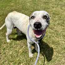 Thumbnail photo of Snow #1