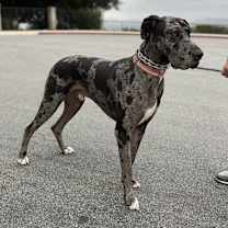 Thumbnail photo of Raddix #1