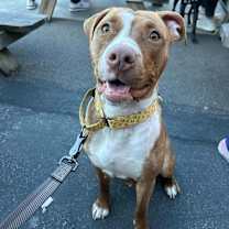 Thumbnail photo of Buffy #3