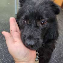 Thumbnail photo of Gucci #2