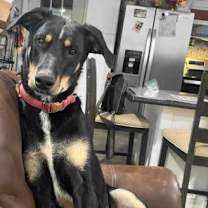 Thumbnail photo of A-Tater #1