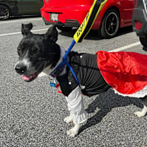 Thumbnail photo of Lover #2