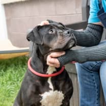 Thumbnail photo of Julieta #3