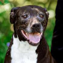 Thumbnail photo of Sparkles #1