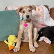 Thumbnail photo of Sandy Duffy #2