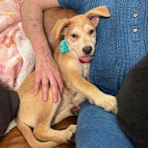 Thumbnail photo of Sandy Duffy #3