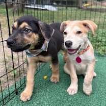 Thumbnail photo of Sandy Duffy #4