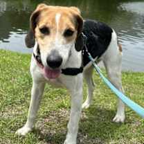 Thumbnail photo of Ida Mae #2