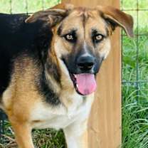 Thumbnail photo of Athena #2