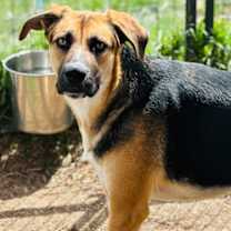 Thumbnail photo of Athena #3