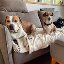 Thumbnail photo of Tuck #3