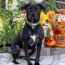 Thumbnail photo of Chance Cain #2