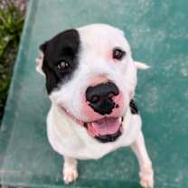 Thumbnail photo of Money #1