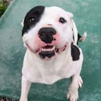 Thumbnail photo of Money #2