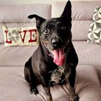 Thumbnail photo of Daizy #2