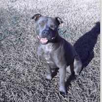 Thumbnail photo of LANDING #2