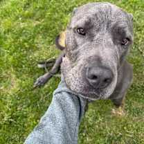 Thumbnail photo of Zeke #2