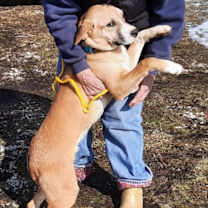 Thumbnail photo of Zeke #2