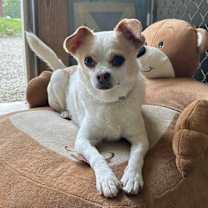 Thumbnail photo of Luna #1