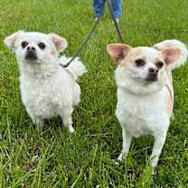 Thumbnail photo of Luna #3