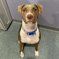 Thumbnail photo of BONNY #3