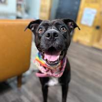 Thumbnail photo of Lydia your lovely adventure girl #1