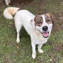 Thumbnail photo of Bonnie #2