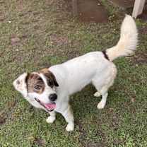 Thumbnail photo of Bonnie #4