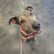 Thumbnail photo of Lovely #2