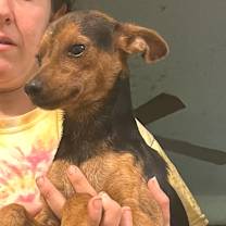 Thumbnail photo of Donnie aka Fred JuM #2