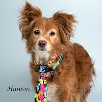 Thumbnail photo of Hanson (Rusty) #2
