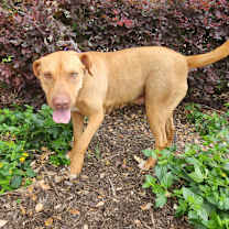 Thumbnail photo of Marlee JuM* #4