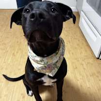 Thumbnail photo of Mabel #4