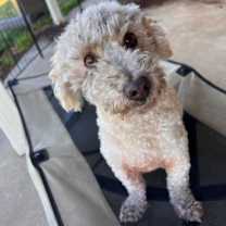 Thumbnail photo of Walter #1