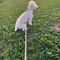 Thumbnail photo of Walter #2