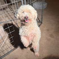 Thumbnail photo of Walter #3