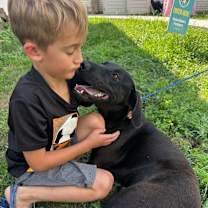 Thumbnail photo of Henry Hopper two toys better than one #2