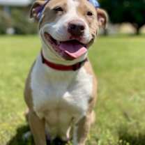 Thumbnail photo of Stella #1