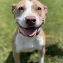 Thumbnail photo of Stella #3