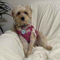 Thumbnail photo of Rachel #1