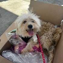 Thumbnail photo of Rachel #4