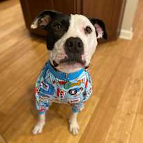 Thumbnail photo of Johnson #4