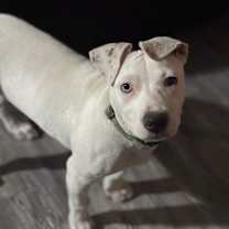 Thumbnail photo of Julie #3