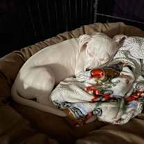 Thumbnail photo of Julie #4