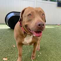 Thumbnail photo of Tessa #4