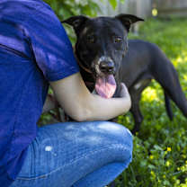 Thumbnail photo of Pretzel #4