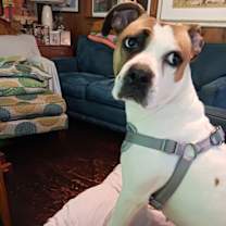 Thumbnail photo of Katla #1